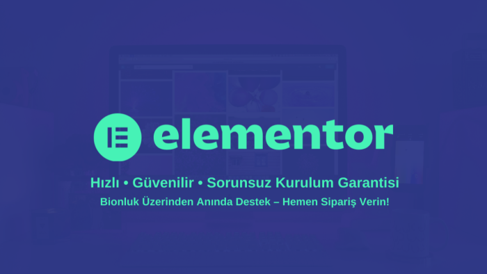 elementor pro lisans kurulumu hizmeti sunuyorum