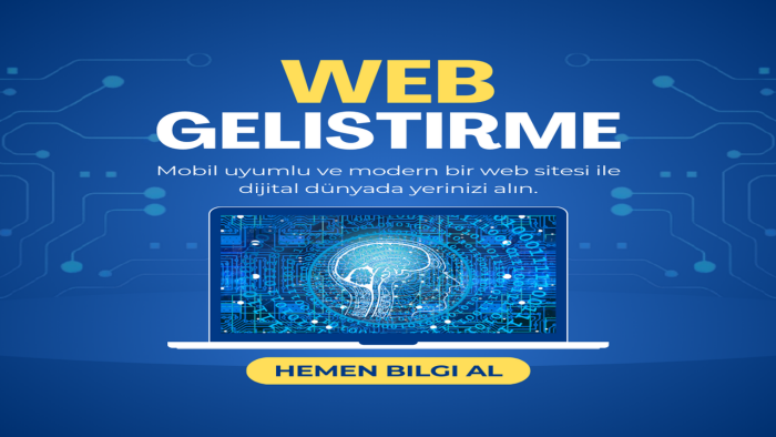 projelerinizi profesyonelce geliştirebilirim