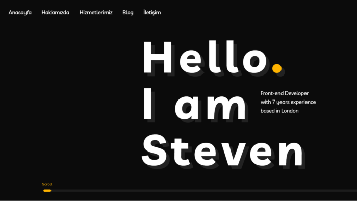 kurumsal web sitesi veya bireysel web sitesi hazırlıyorum