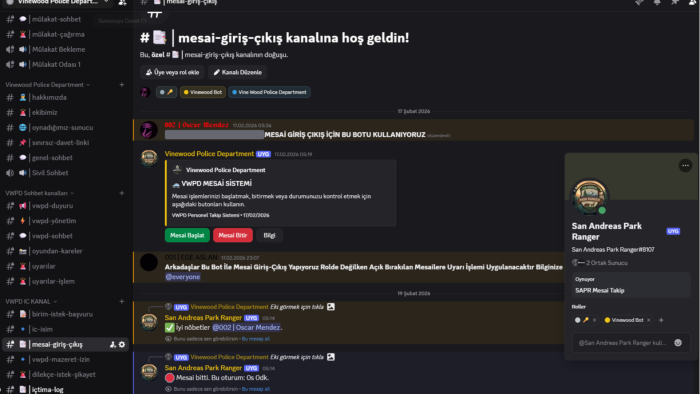 sunucunuza özel profesyonel discord botu geliştirebilirim
