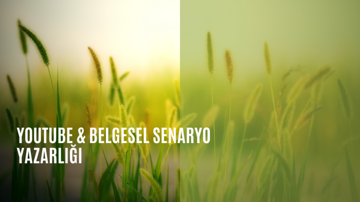  YouTube ve belgesel projeleriniz için senaryo yazarım