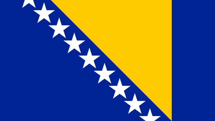 Boşnakça, Sırpça ve Hırvatça dillerinde çeviri yapabilirim