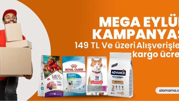 kreatif ve özgün içerik tasarımları üretiyorum