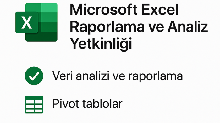 verilerinizi profesyonel raporlara çeviririm