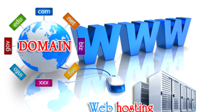 domain ve hosting yönetimi hizmeti verebilirim