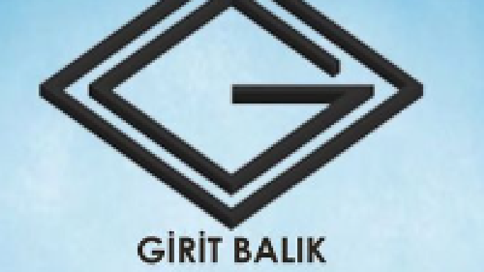sizler için vizyonel bir logo tasarlayabilirim