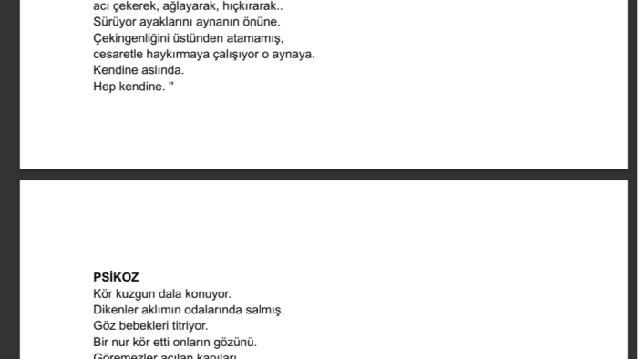 el yazılarınızı düzenli bir şekilde metne çeviririm