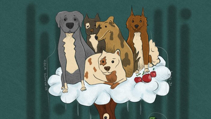 istediğiniz konularda karikatür çizebilirim