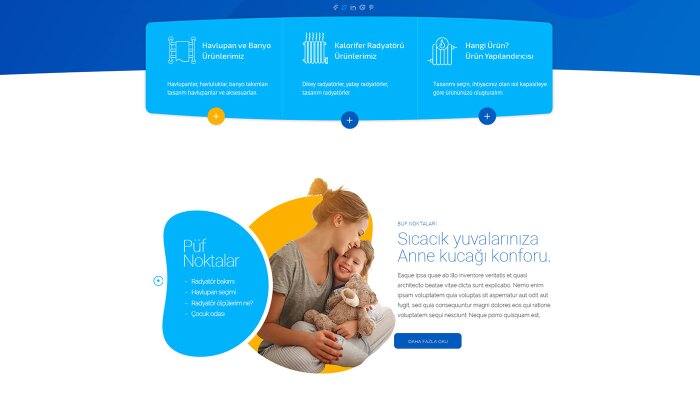 anahtar teslim wordpress sitenizi yaparım