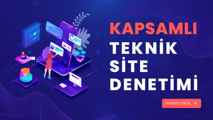kapsamlı seo teknik denetim yaparım