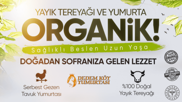 landing page yaprak site tasarlarım