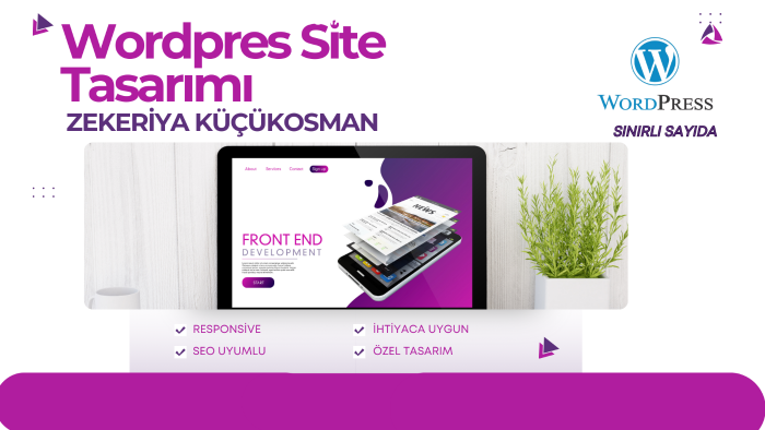 anahtar teslim wordpress web sitesi yaparım