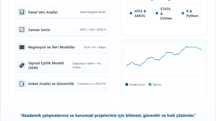 akademik ekonometrik ve istatistiksel analizler yaparım