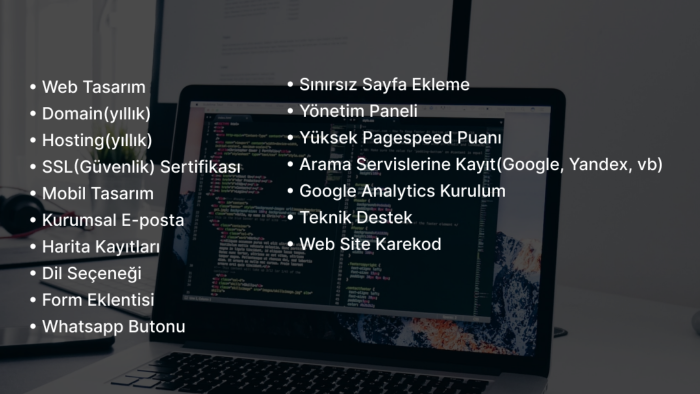sizin için profesyonel bir web sitesi yapabilirim