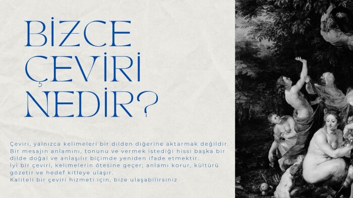 İngilizce-Türkçe profesyonel çeviri hizmeti sunuyorum