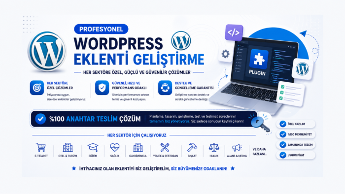 wordpress eklenti geliştirmesi yapabilirim