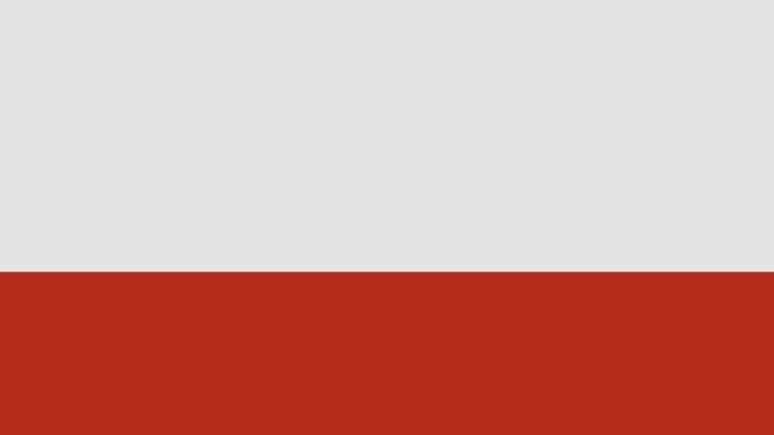 sizin için 2D profesyonel animasyonlar yaparım