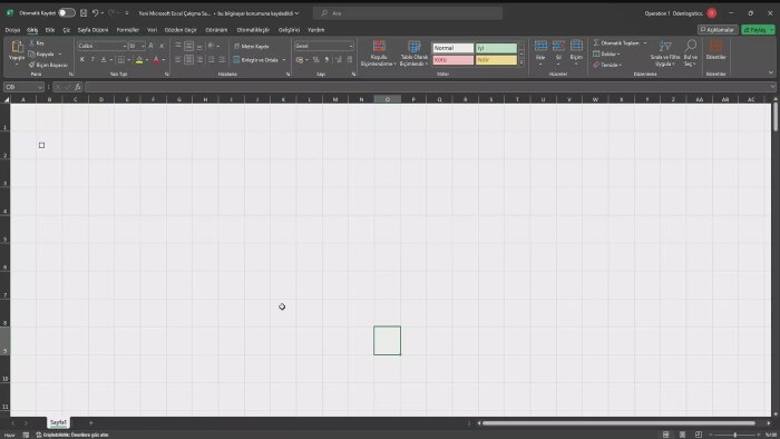 Excel'de talebinize göre programlar hazırlayabilirim