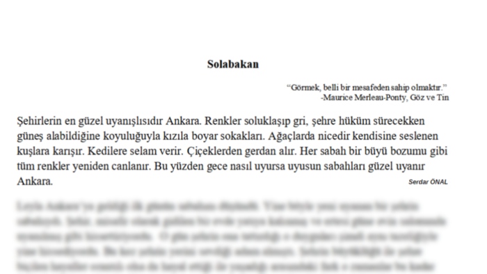 sizin için özgün metinler, öyküler ya da şiirler yazabilirim