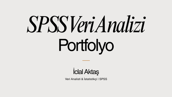 sizin için SPSS veri analizi yaparım