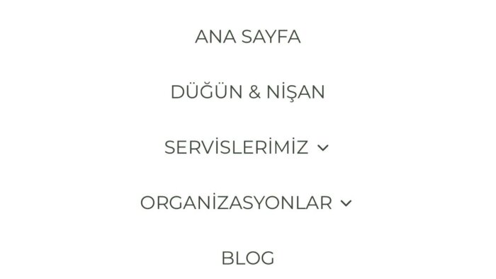 siz hayal edin, ben özel kodlanmış web sitesi yaparım