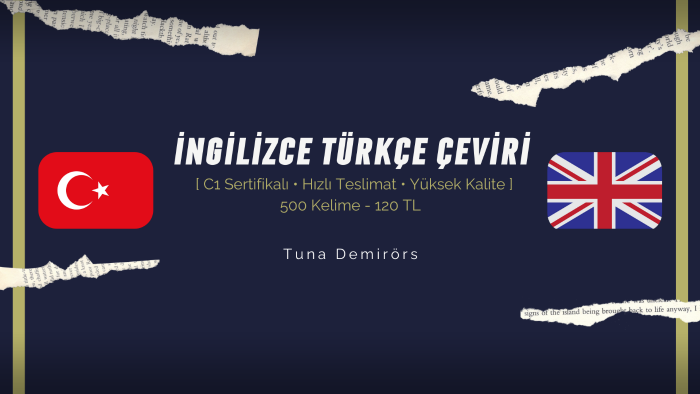 profesyonel çeviri hizmeti sunarım