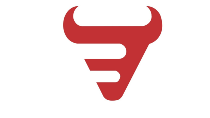 size özgün logo tasarımı yaparım