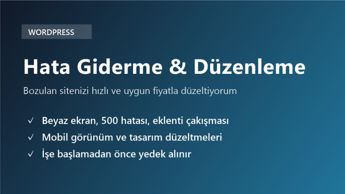WordPress sitenizdeki hataları hızlıca düzeltirim