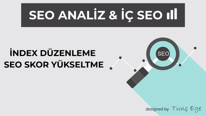 web sitenizle ilgili SEO analiz düzenlemelerini yaparım