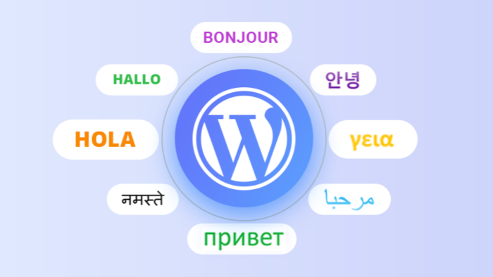 web sitenize dil desteği ekleyebilirim