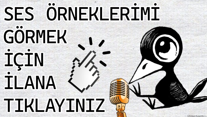 genç tonlarda profesyonel seslendirme hizmeti veriyorum