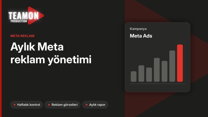 Instagram ve Facebook reklamlarınızı aylık yönetirim