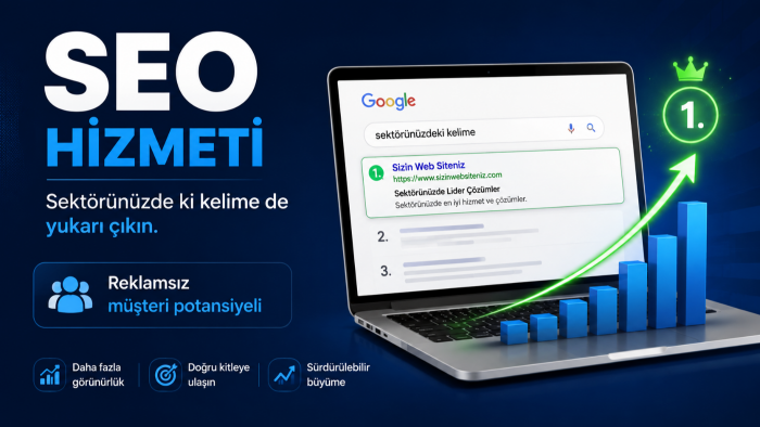 profesyonel aylık seo hizmeti veriyorum