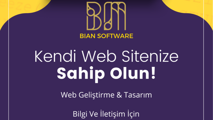 anahtar teslim profesyonel web sitesi yaparım