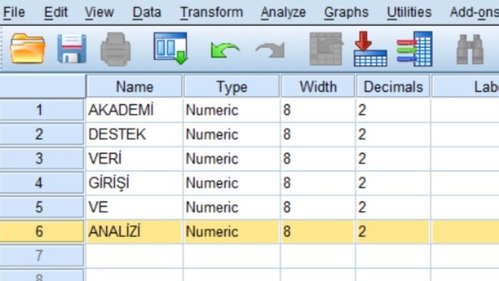 SPSS, LISREL ve AMOS konusunda sizlere destek veririm