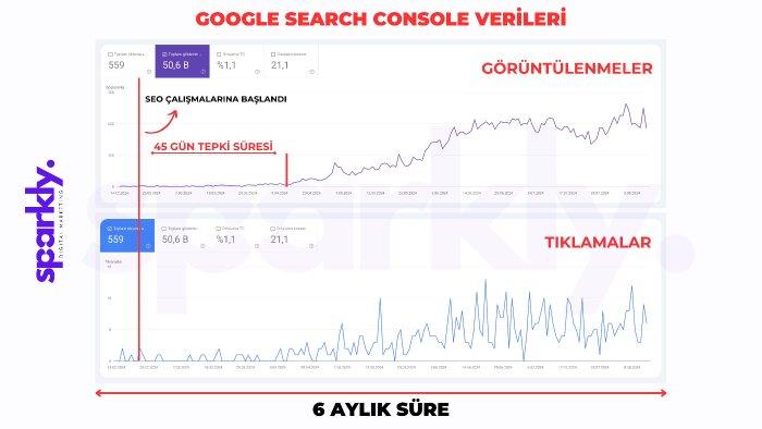 rakipsiz güçlü SEO ile Google'da öne çıkmanızı sağlarım