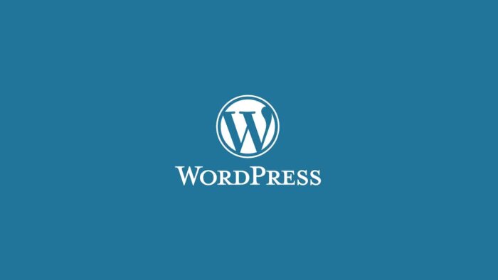 wordpress altyapısı ile web sitenizi hazırlayabilirim