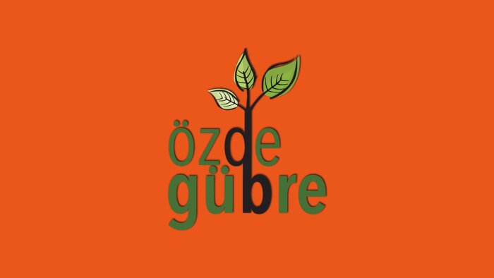 Logo Tasarımı işlerinizde hızlı çözüm üretirim