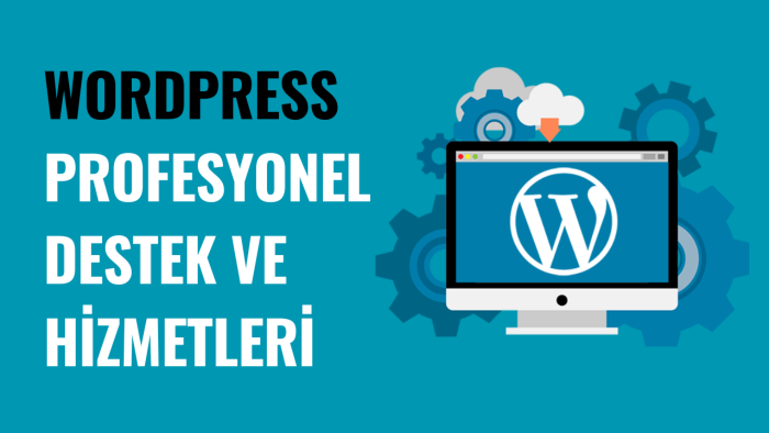 wordpress ile ilgili destek ve sorun çözümü sağlıyorum