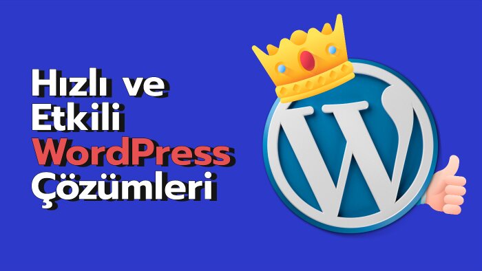 profesyonel wordpress hizmeti sunarım