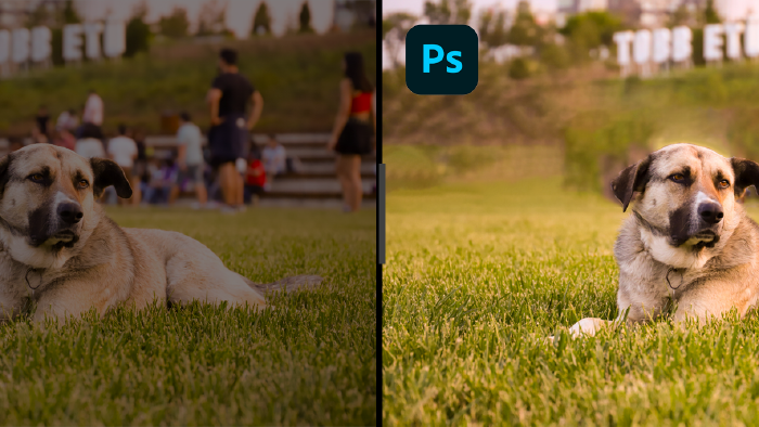 sizin için fotoğraflarınızı düzenleyebilirim