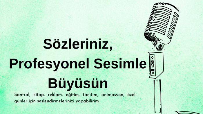profesyonel seslendirme yaparım