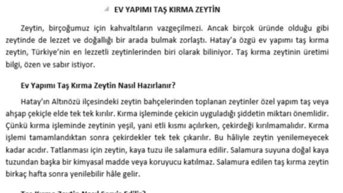 profesyonel yazılar yazıyorum