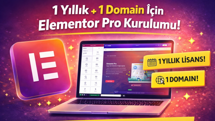 bir sene kullanımlık elementor pro eklentisi kurabilirim