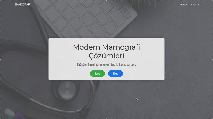 size özel işlevsel ve hızlı web siteleri oluştururum