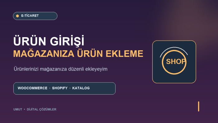 e-ticaret sitenize ürünlerinizi düzenli şekilde girerim