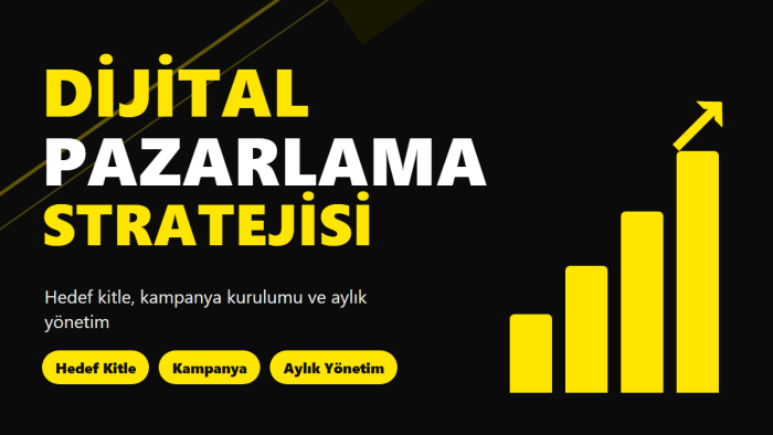 işletmenizin dijital pazarlama stratejisini kurar, yönetirim