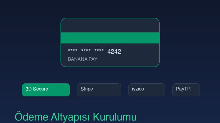 sitenize Stripe iyzico veya PayTR ödeme altyapısı kurarım