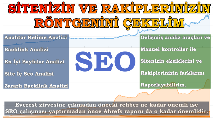 sitenizin ve rakiplerinizin seo röntgenini çekebilirim