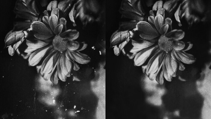 sizin için fotoğraflarınızı düzenleyebilirim